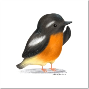 Mugimaki Flycatcher Bird Posters and Art